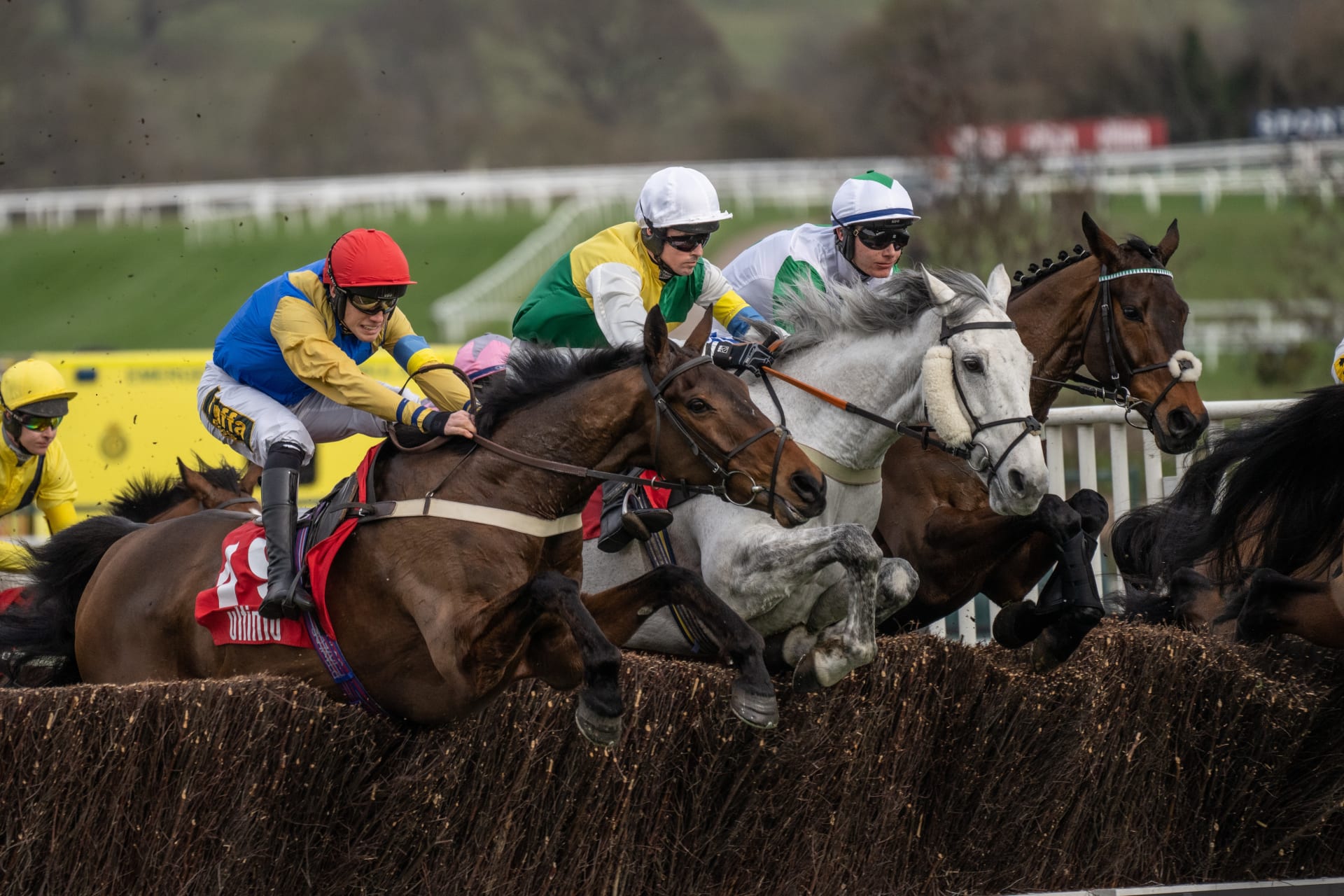 Luxury chauffeur-driven car at Cheltenham Festival racecourse