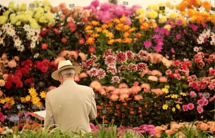 RHS Chelsea Flower Show