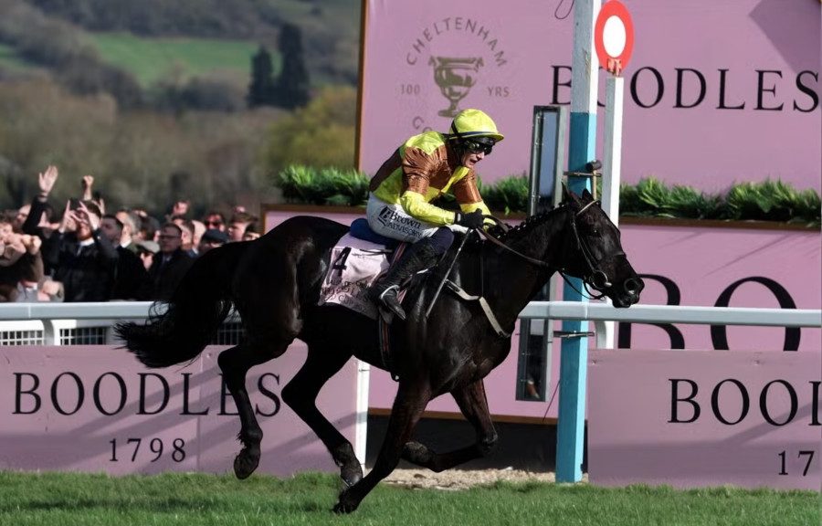 Cheltenham Festival